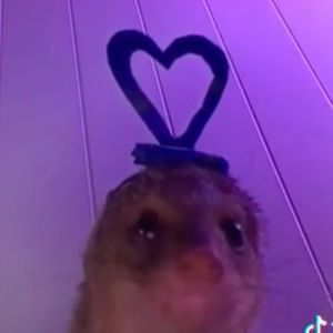 Meet your Posher, Rocio